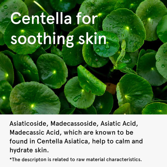 Ingredient Deep Dive: Centella Asiatica & Its Soothing Power My Seoul My Skin