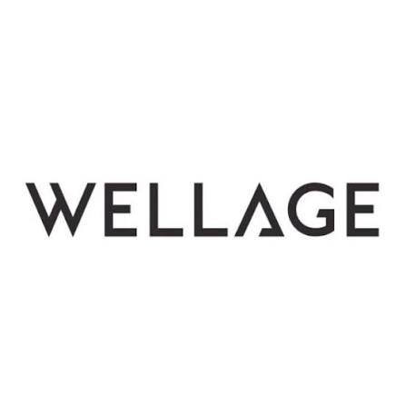 WELLAGE-Korean-Skincare-Collection My Seoul My Skin