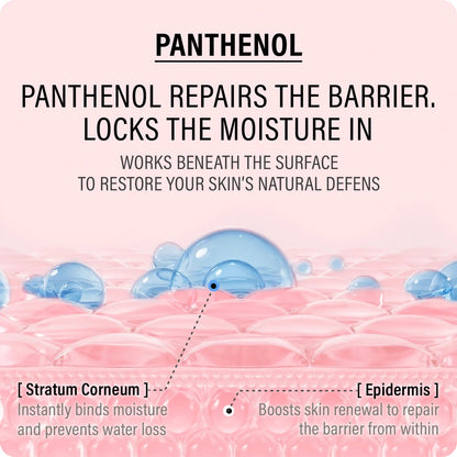 epii Double Up Cream Ectoin & Panthenol – Korean Barrier Cream for Dry & Sensitive Skin epii