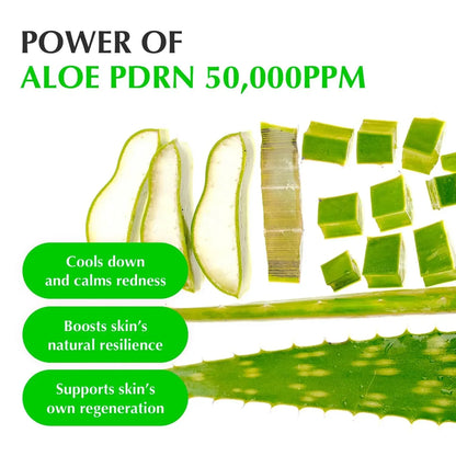 EQQUALBERRY Aloe PDRN Calming Serum – Soothing &amp; Barrier-Strengthening Korean Serum - My Seoul My Skin