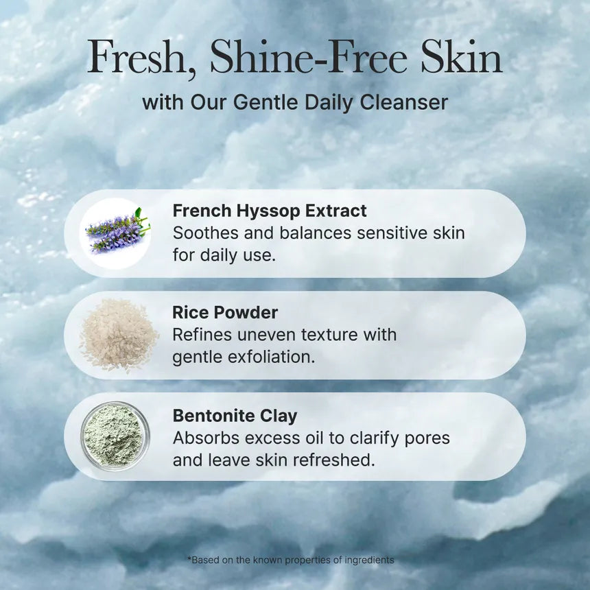 ARENCIA Blue Hyssop Rice Mochi Cleanser – Korean Rice Cleanser for Calm, Smooth Skin Arencia